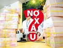 World Bank: Chênh lệch 1% nợ xấu cũng là quá lớn!